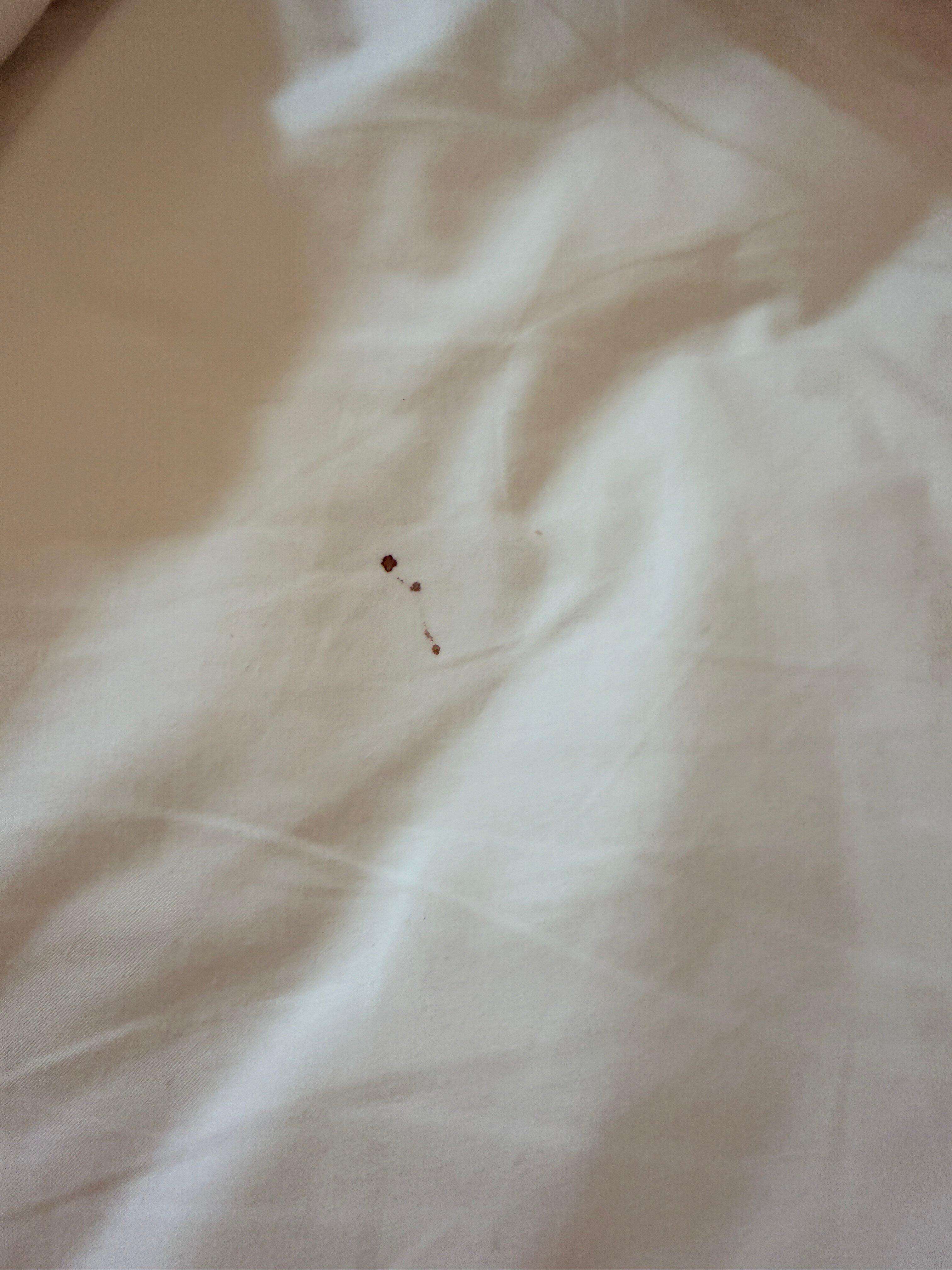 贝尔维尤市湖泊酒店-官方