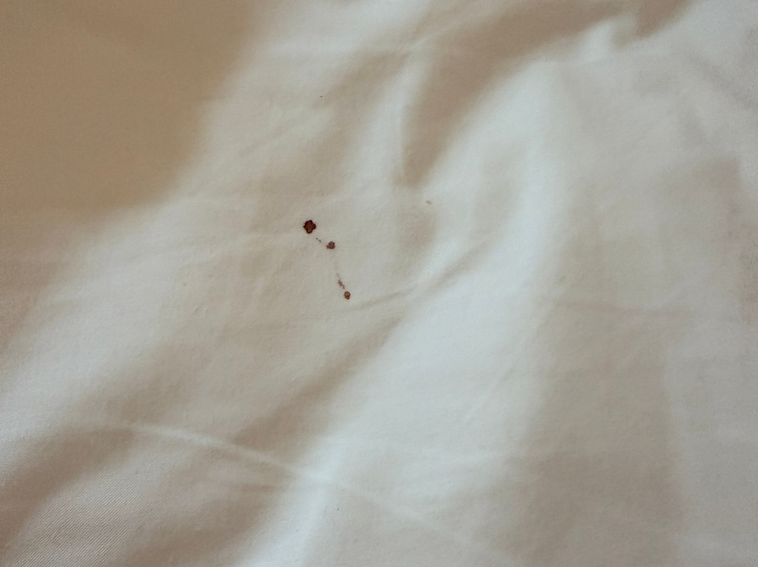 贝尔维尤市湖泊酒店主图