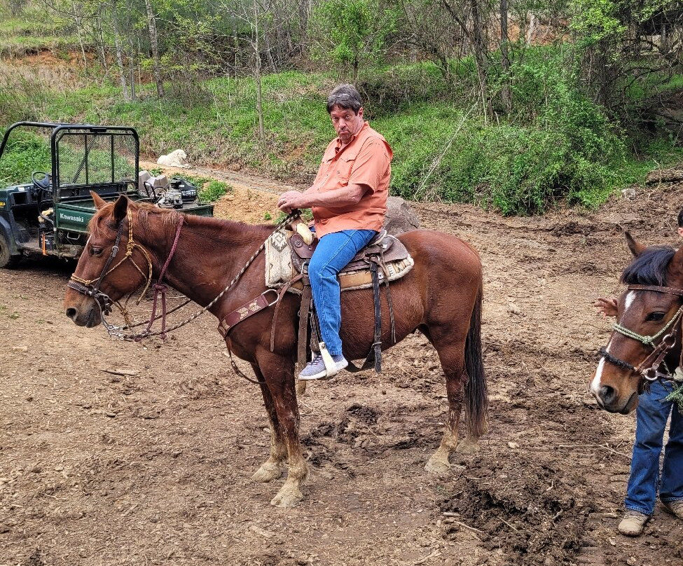 Smoky Mountain Trail Rides and Bison Farm-Marshall必去景点