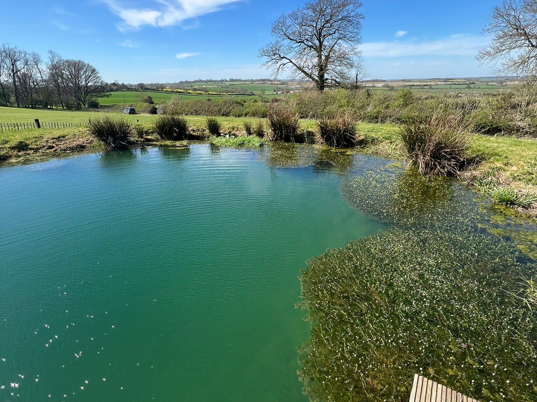 Hill Farm Glamping主图