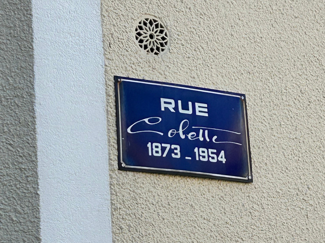 La Maison De Colette-Saint-Sauveur-en-Puisaye必去景点