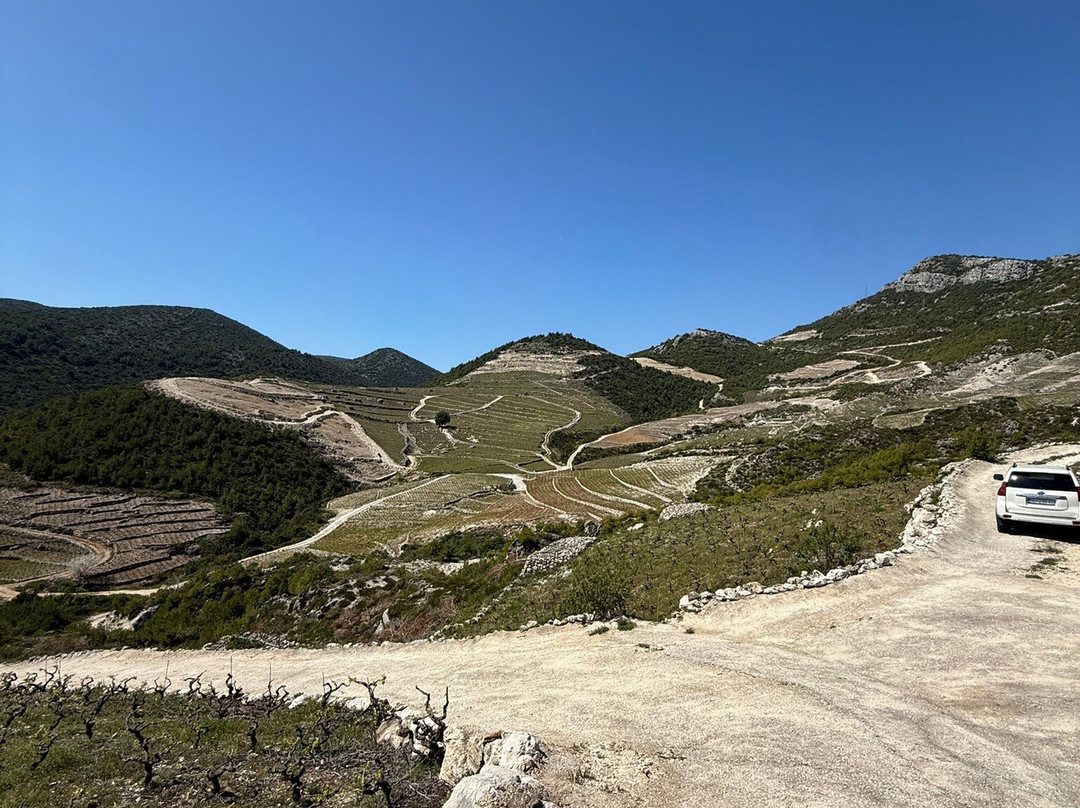 Milos Winery-斯顿必去景点