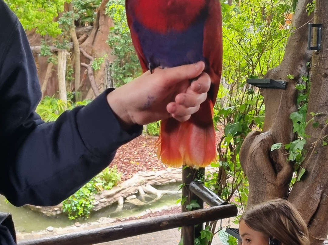 Bioparc Fuengirola-福恩吉罗拉必去景点