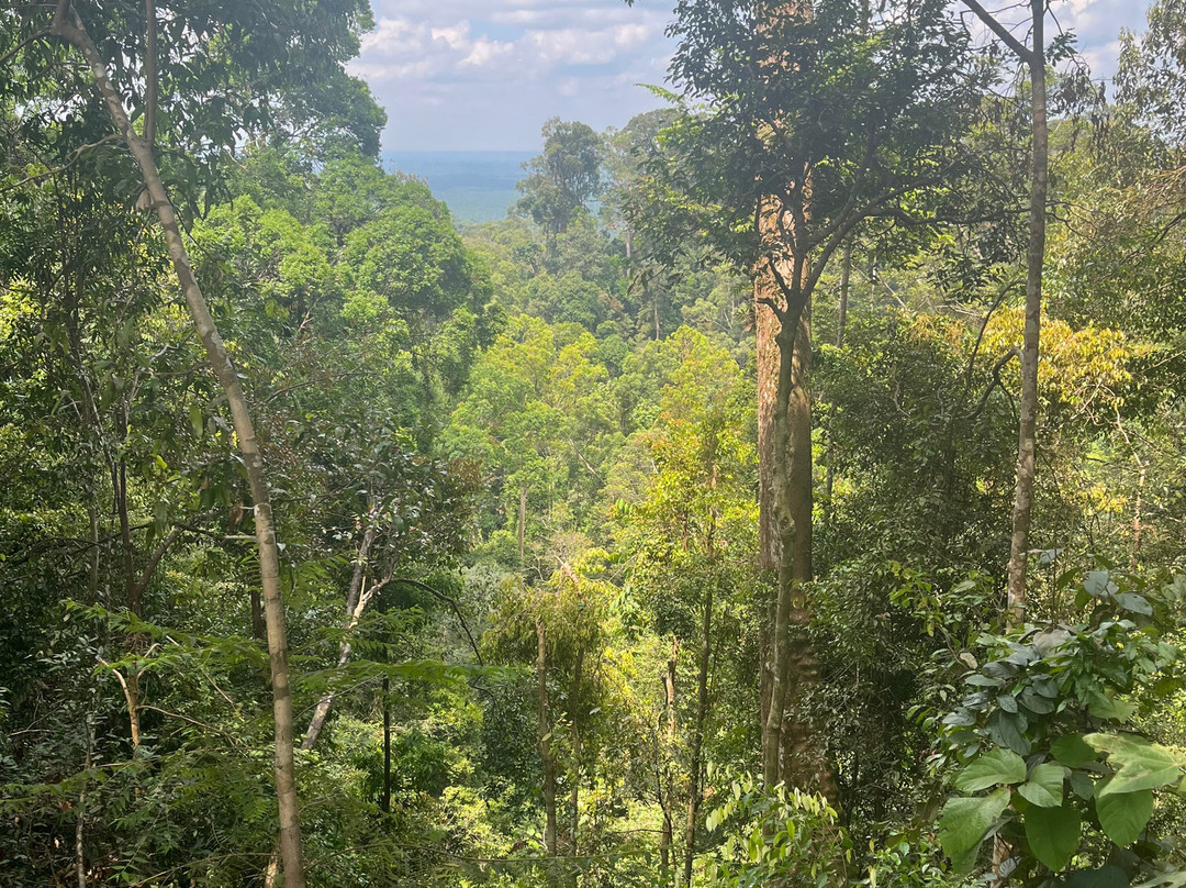 Bukit Lawang Adventure-武吉拉旺必去景点