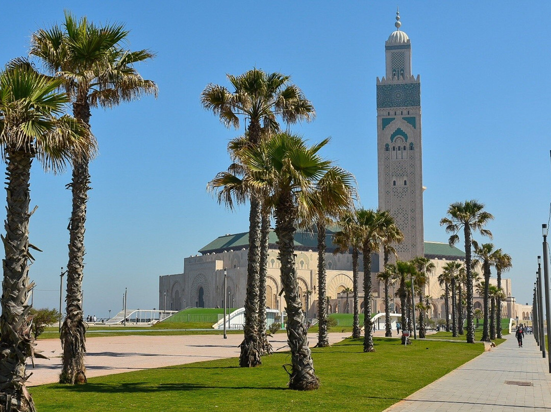 Desert Discovery Tours-卡萨布兰卡必去景点