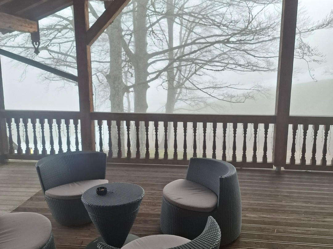 苏德乐费得柏格酒店主图