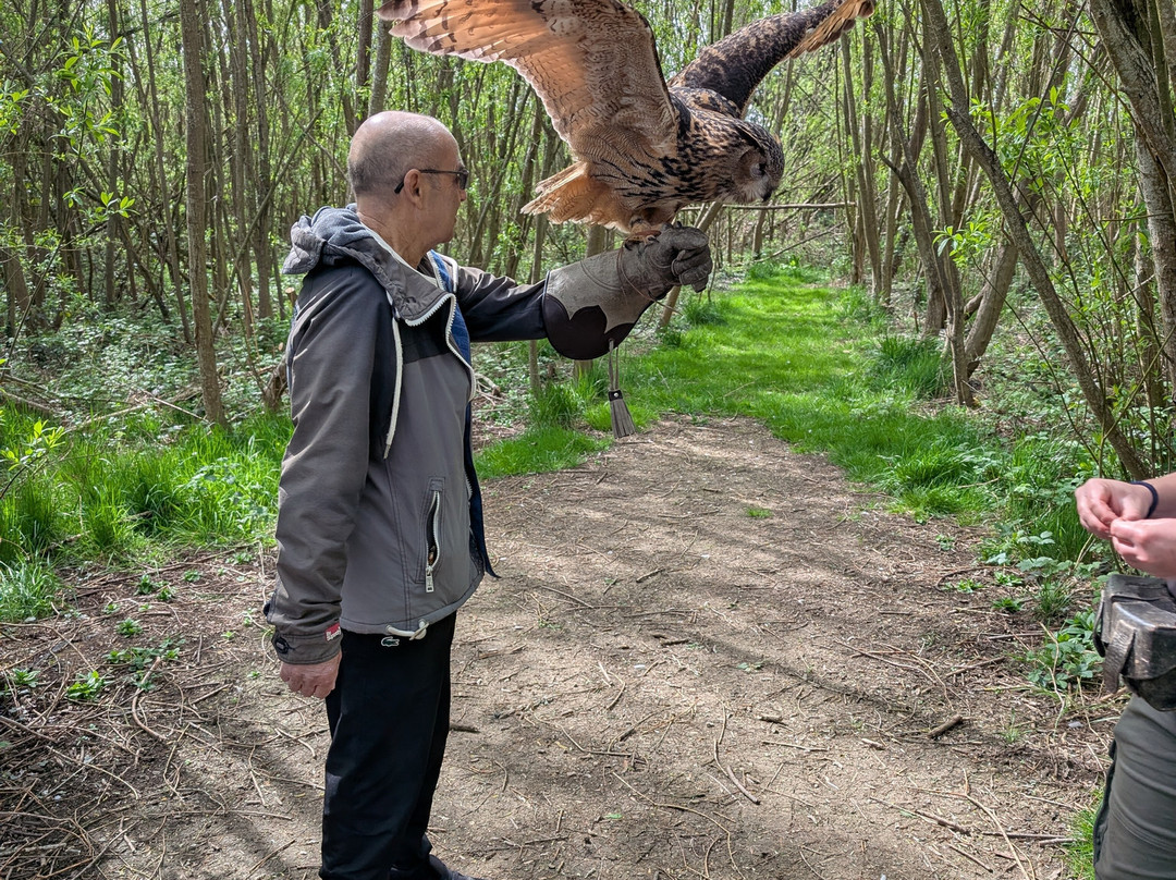 Bird on the Hand Falconry Experiences-Church Langton必去景点