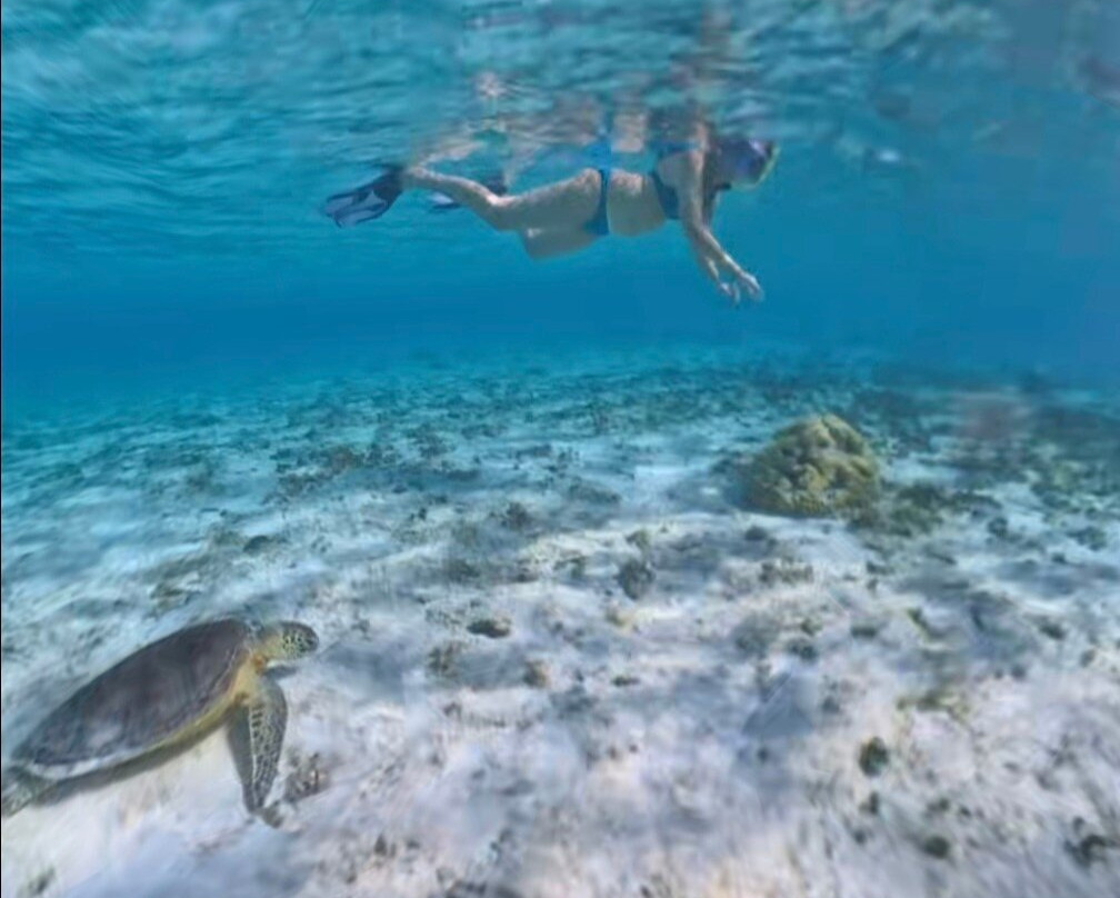 Sea Serenity Excursions-Bain Boeuf必去景点