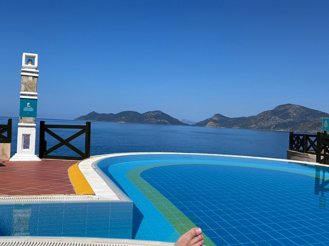 自由利基亚成人酒店主图