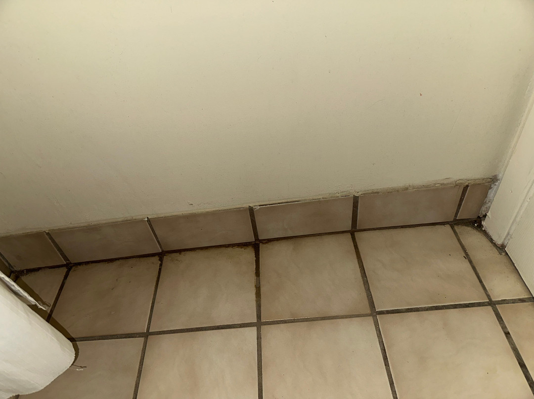 皮卡尤恩温德姆戴斯酒店主图