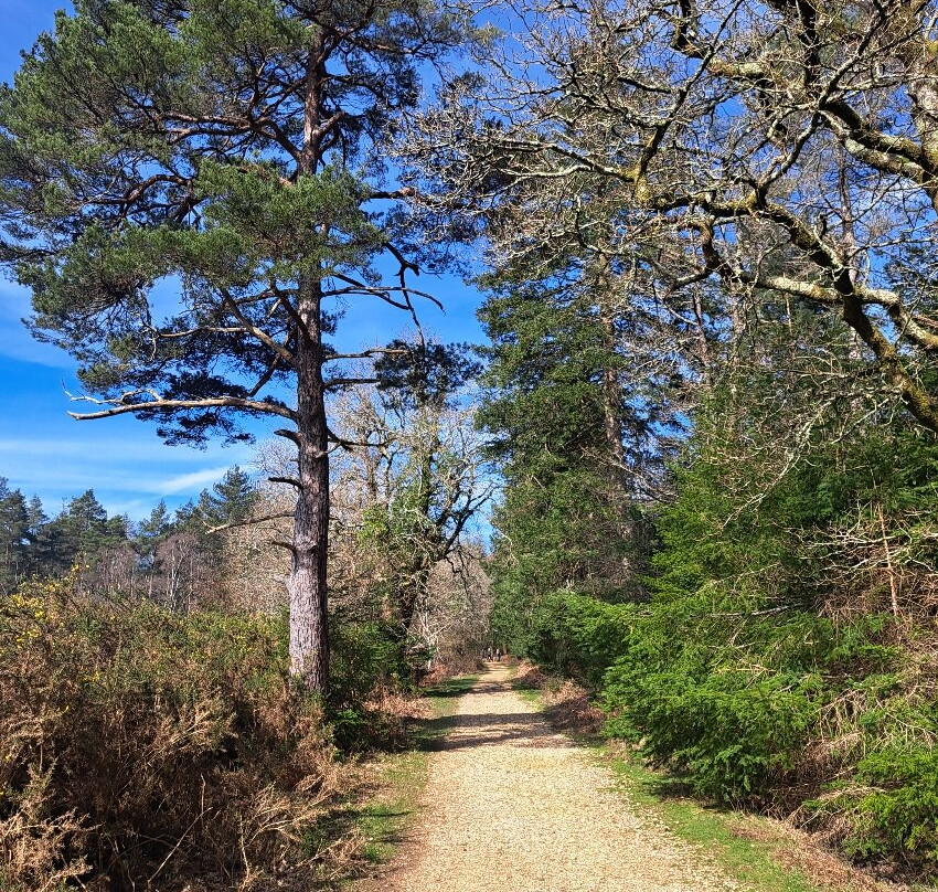 新森林国家公园-林德赫斯特必去景点