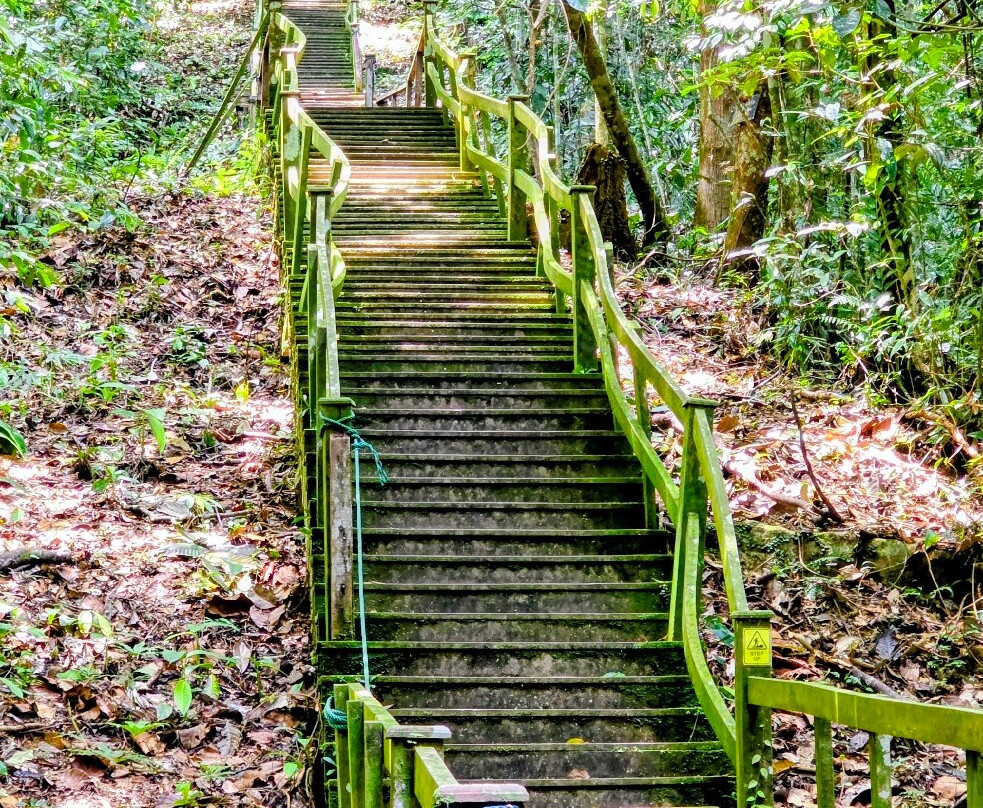 Ulu Temburong National Park-乌鲁淡布伦国家公园必去景点