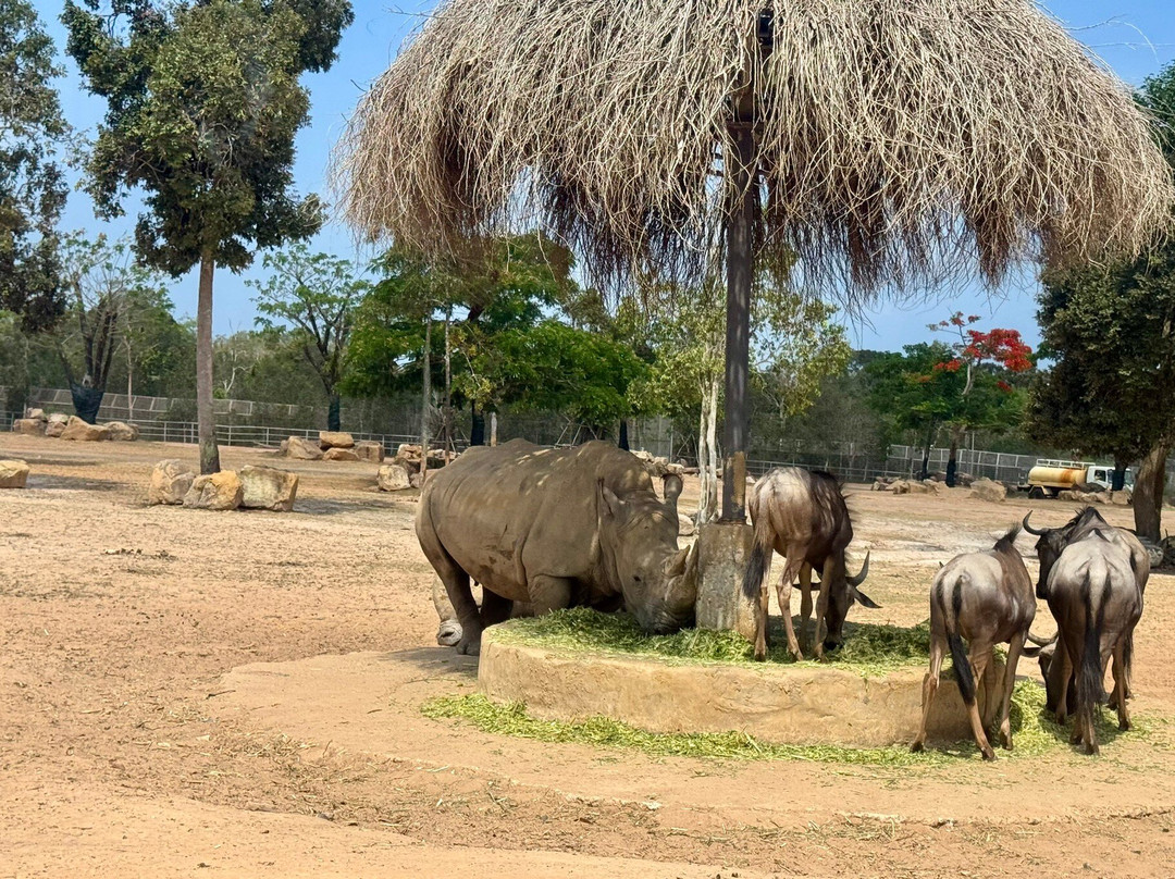 珍珠王国野生动物园-富国岛必去景点