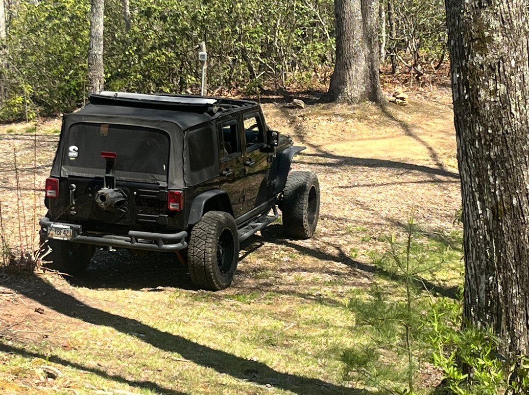 大雾山丘陵地带的Outland小木屋及套房主图