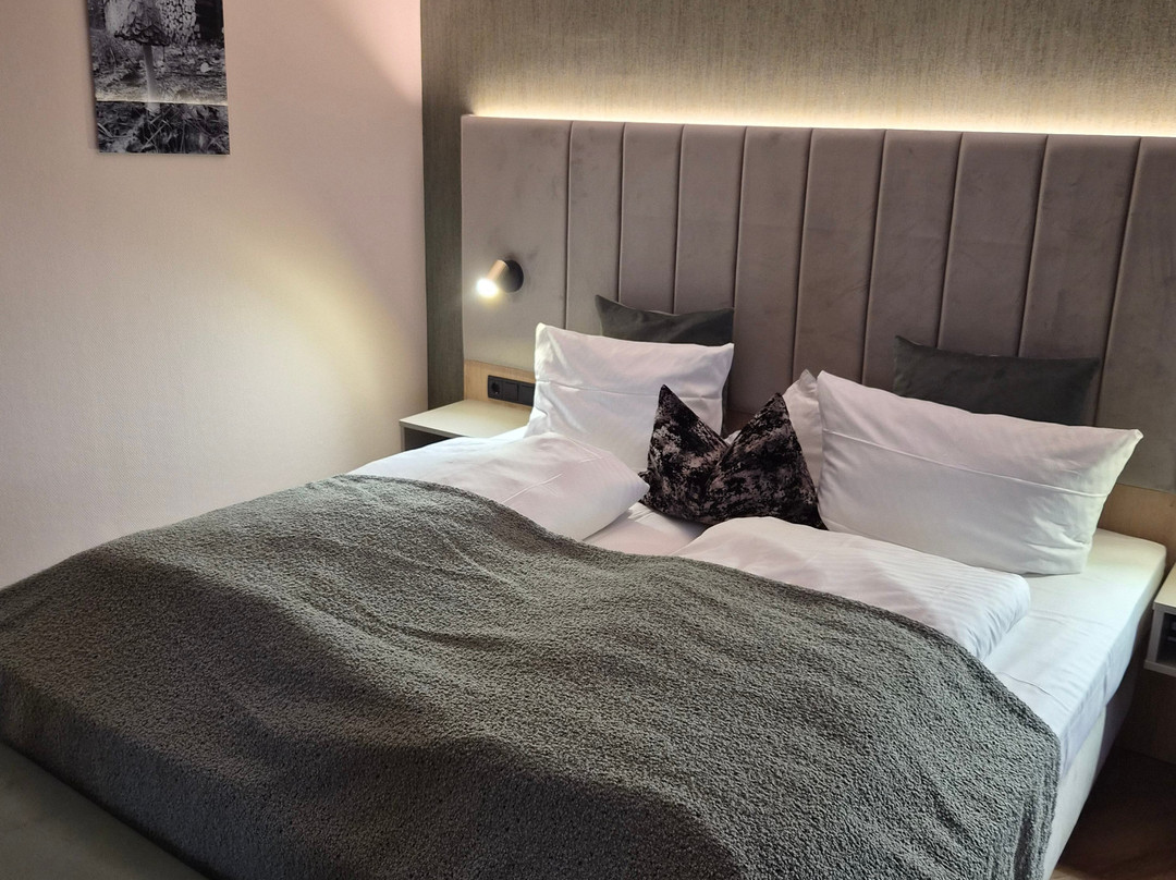 阿尔特米尔塔尔公园酒店主图