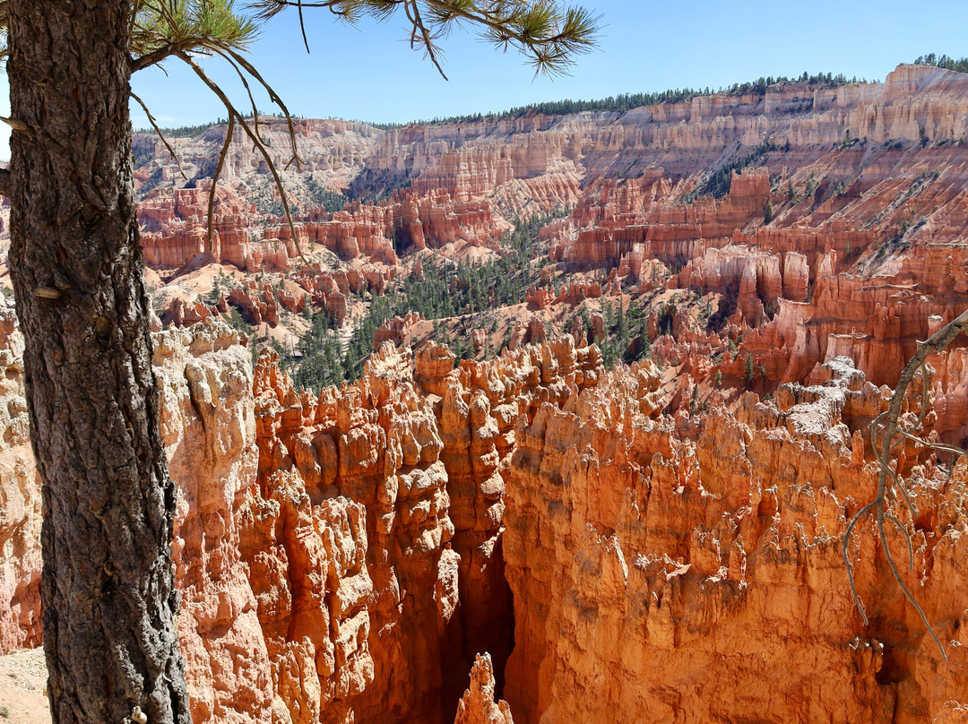 布赖斯峡谷-布莱斯峡谷国家公园必去景点