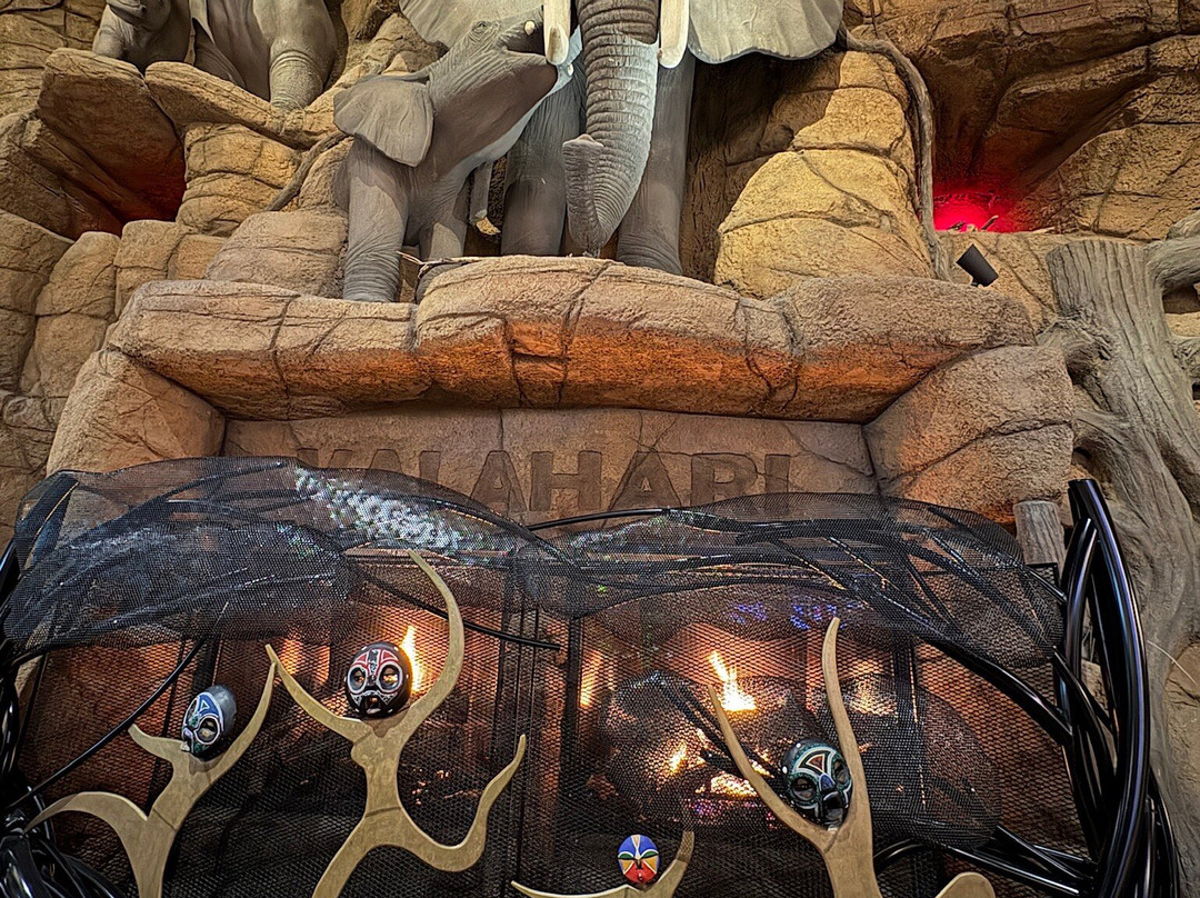 Kalahari Resorts and Conventions主图
