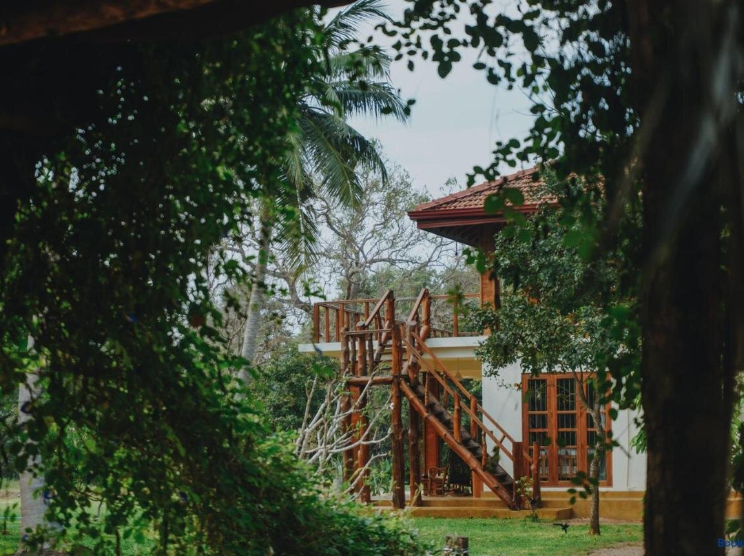The Coconut Experience Eco Lodge
