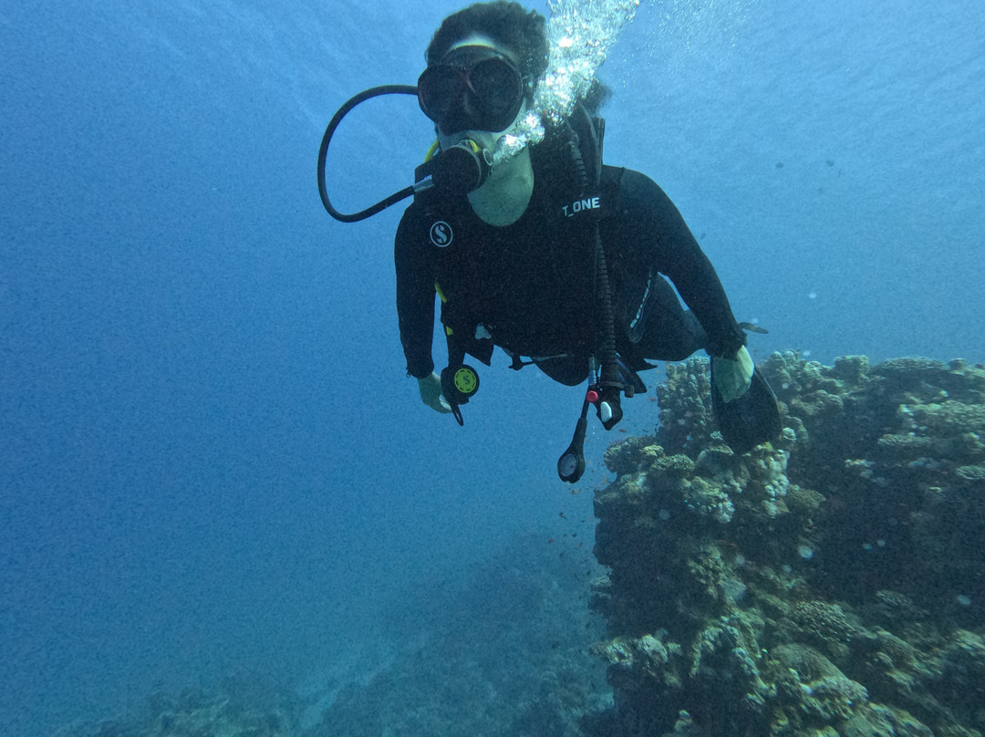 Octopus World Dahab-达哈卜必去景点