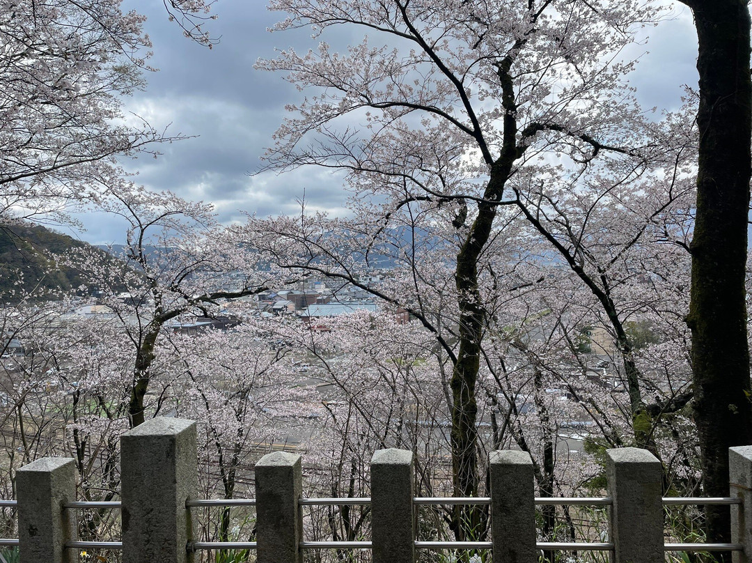 Kanegasakigu Shrine-敦贺市必去景点
