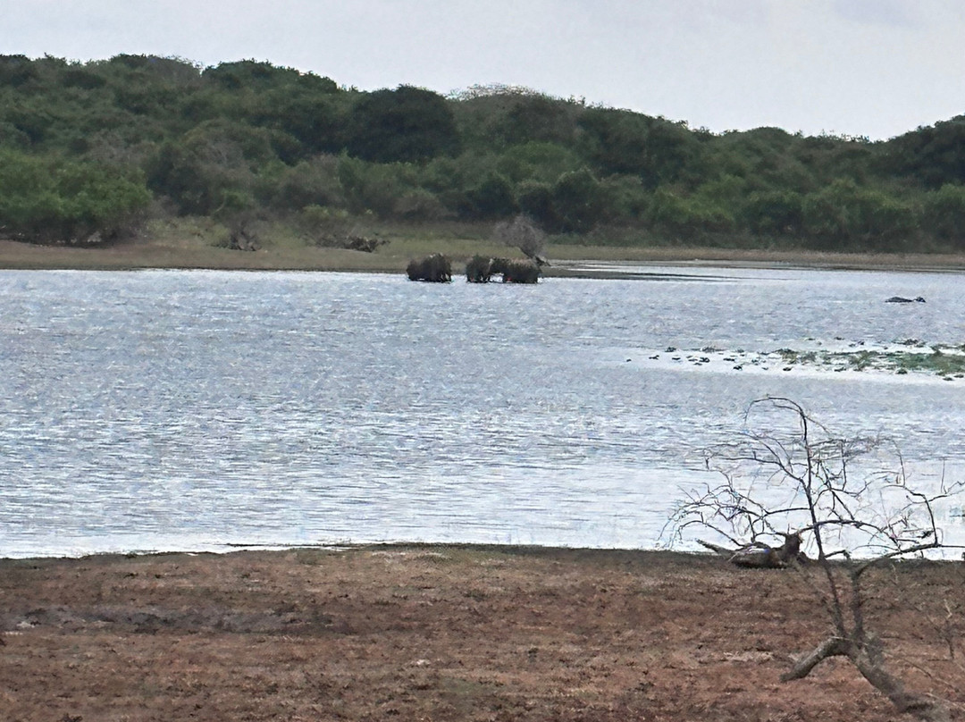 Riu Manga Tours-亚洪加拉必去景点