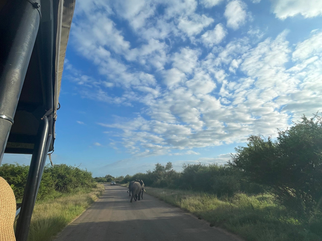 Nombekana Tours and Transfers-约翰内斯堡必去景点