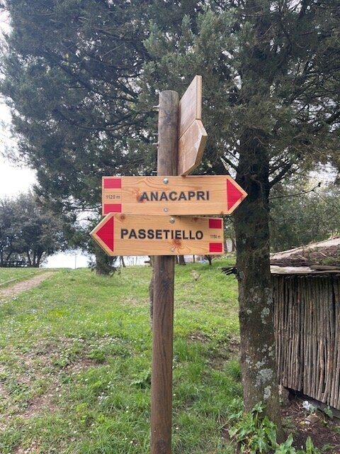 Sentiero Del Passetiello Capri-卡普里岛必去景点