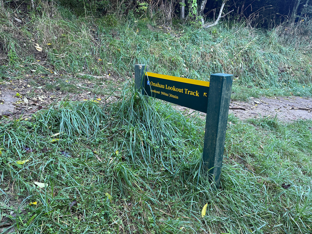 Onahau Point Lookout-Te Mahia必去景点