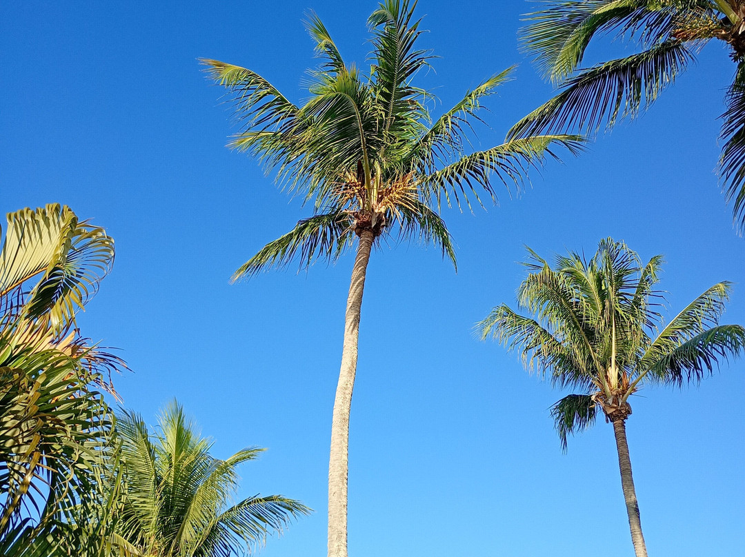 Grande Hotel Sesc Itaparica主图