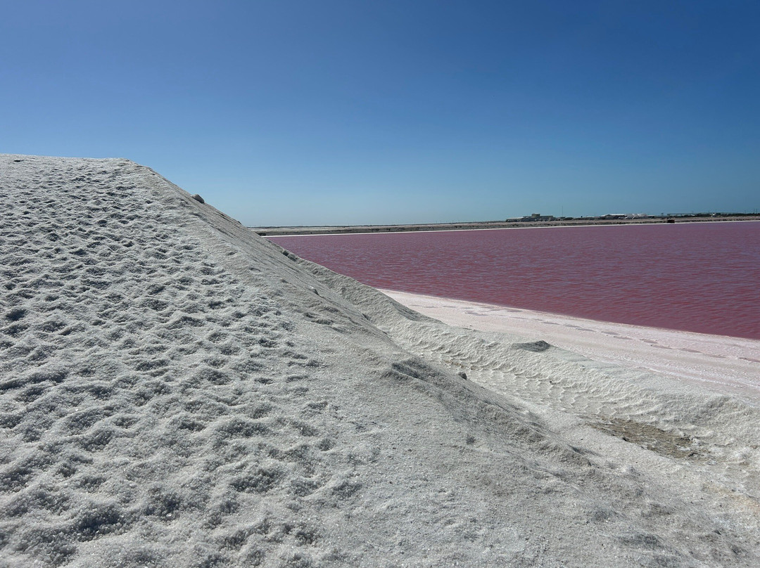 Las Coloradas-里奥拉加托斯必去景点