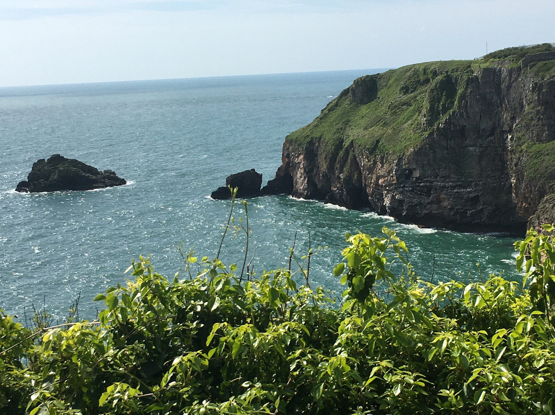 Berry Head National Nature Reserve-布里克瑟姆必去景点