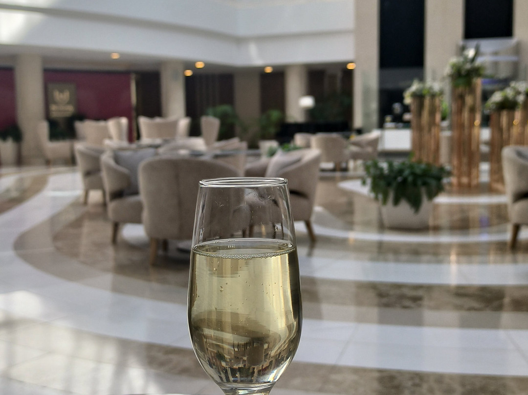 格连吉克大都会酒店主图