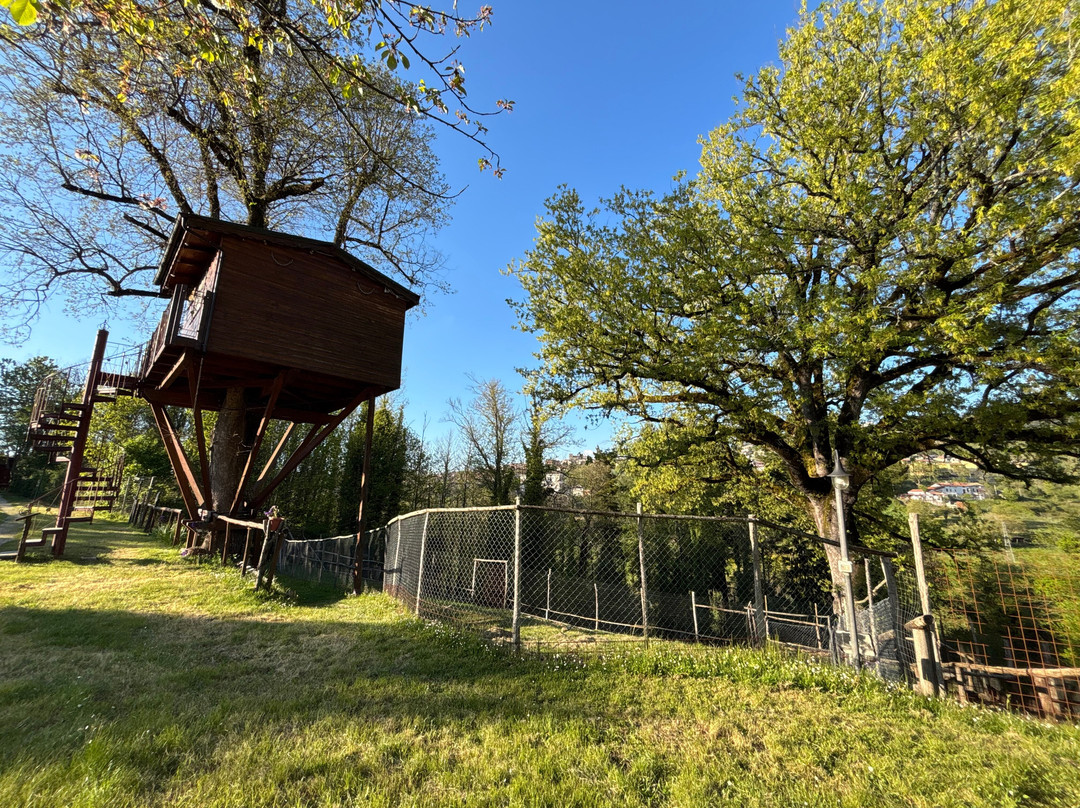 Parco Tenuta Bocchineri