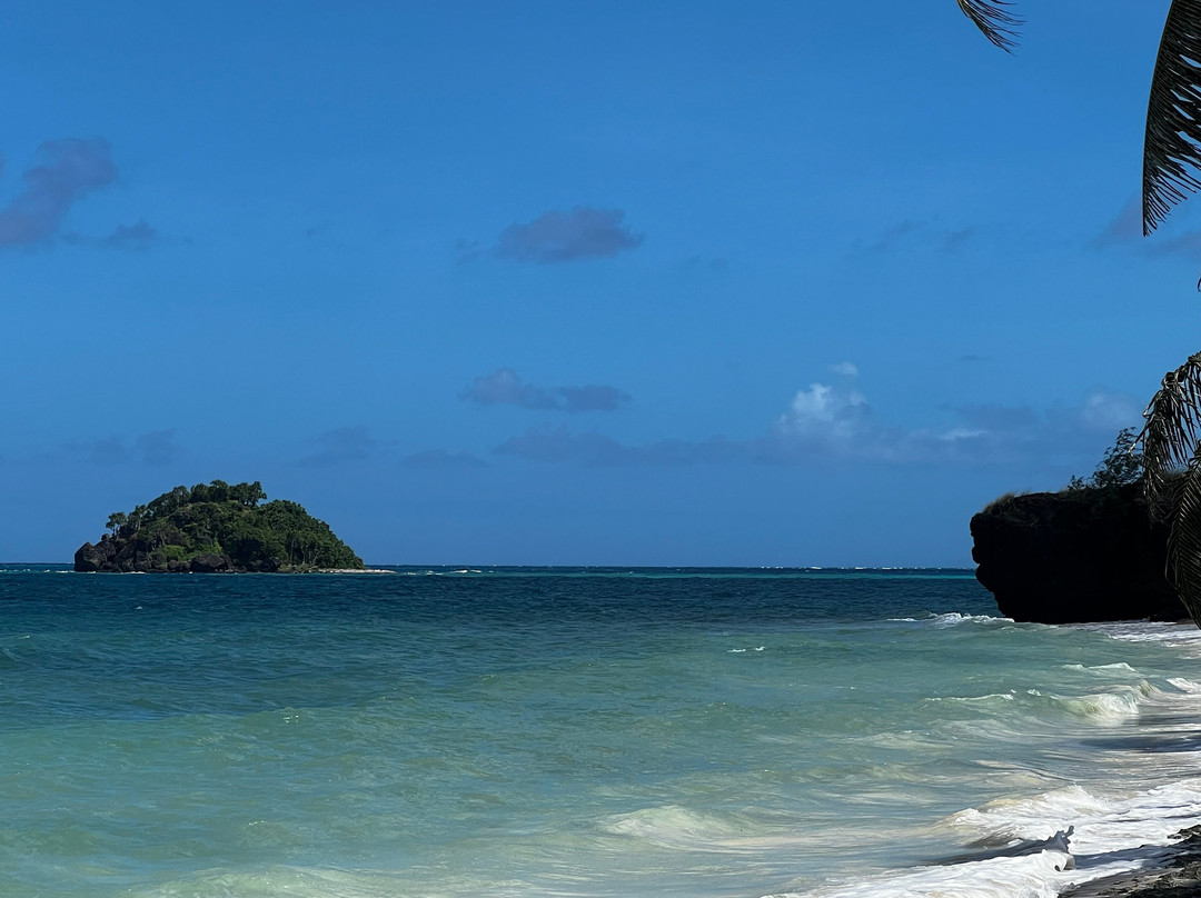Turtle Island Fiji主图