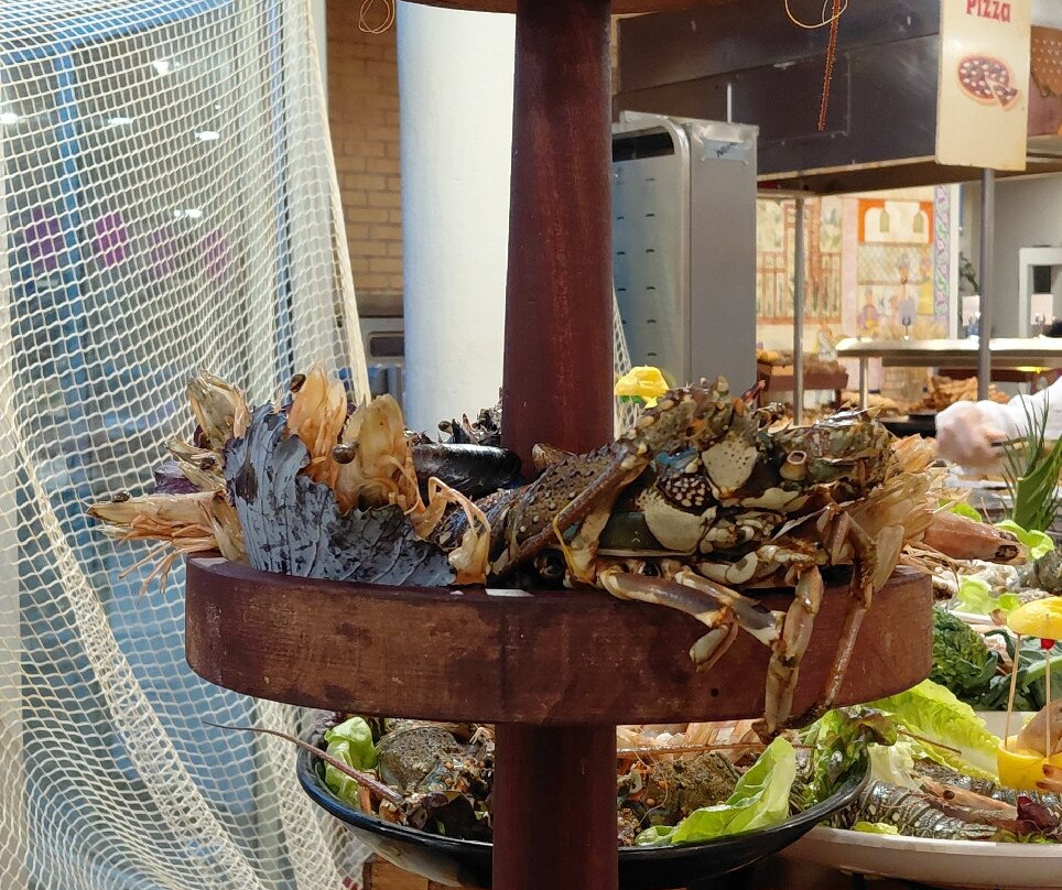 JAZ土耳卡里芙主图
