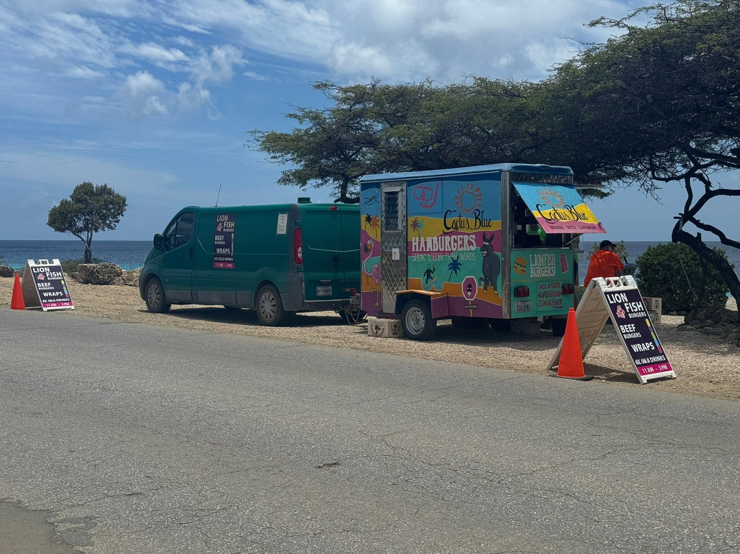 Cactus Blue Bonaire