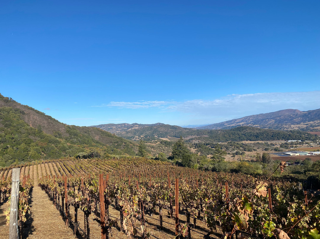 Alta Orsa Winery-Hopland必去景点
