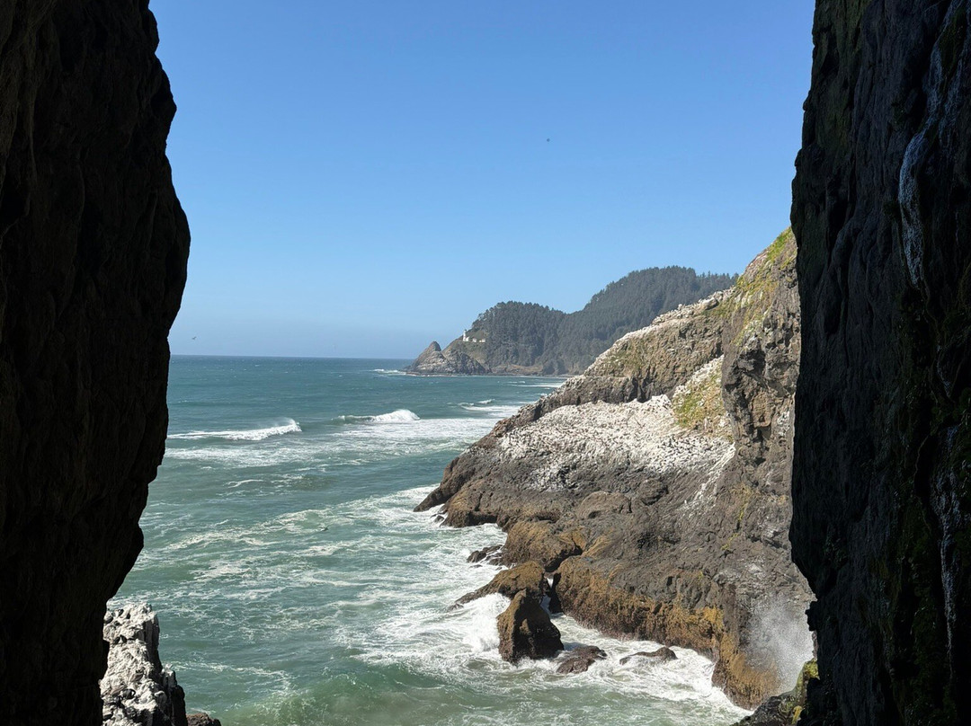 Sea Lion Caves-弗洛伦斯必去景点