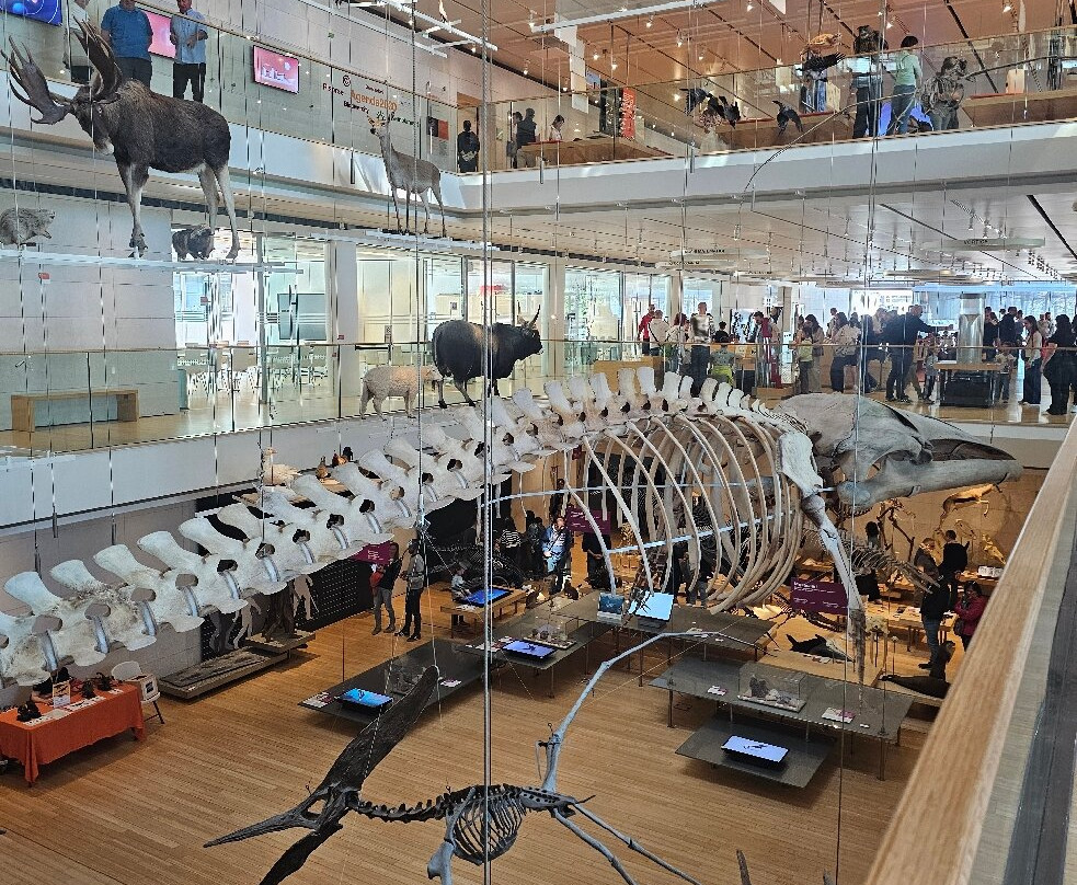 MUSE - Science Museum-特伦托必去景点