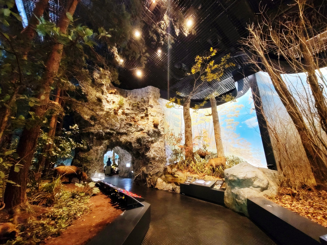 Saitama Museum of Natural History-长瀞町必去景点