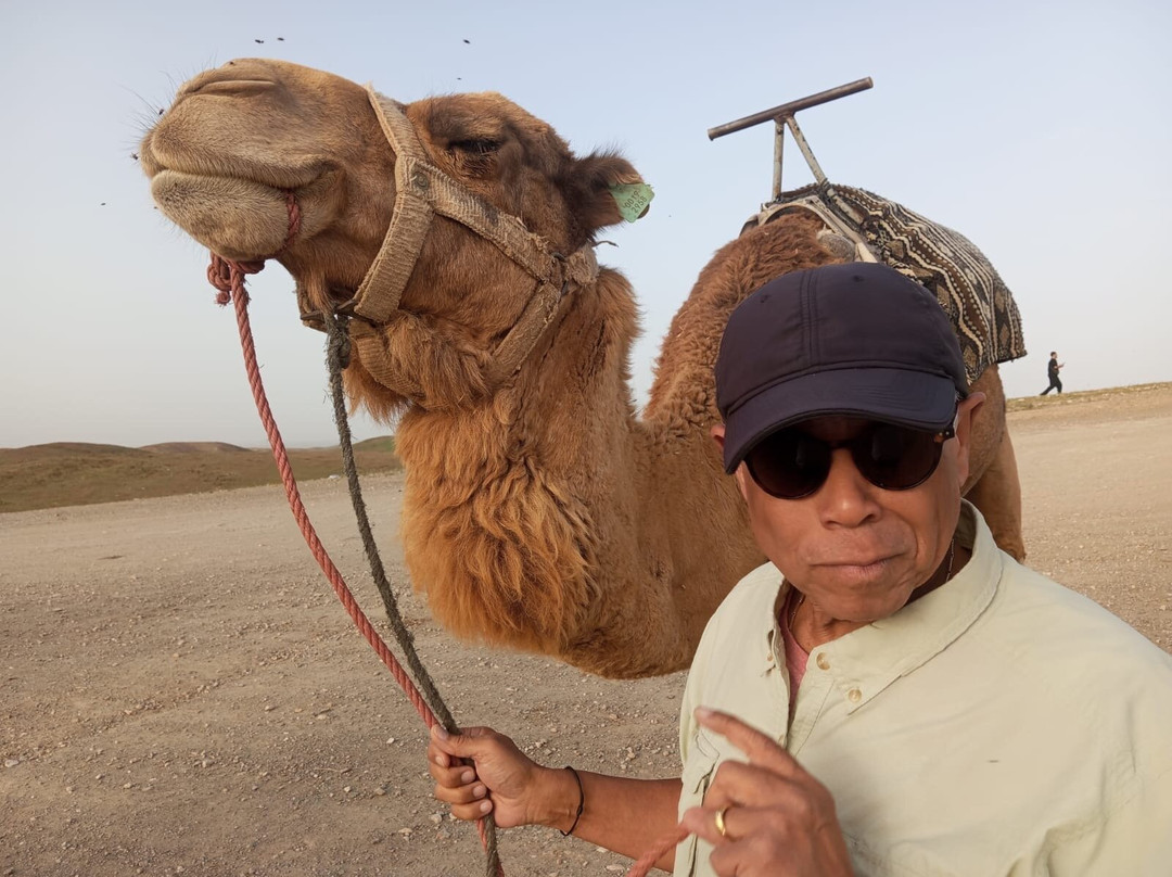 Authentic Morocco-马拉喀什必去景点
