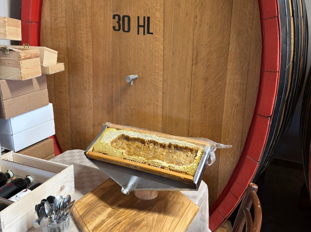 Cantina Fuccelli-Montefalco必去景点
