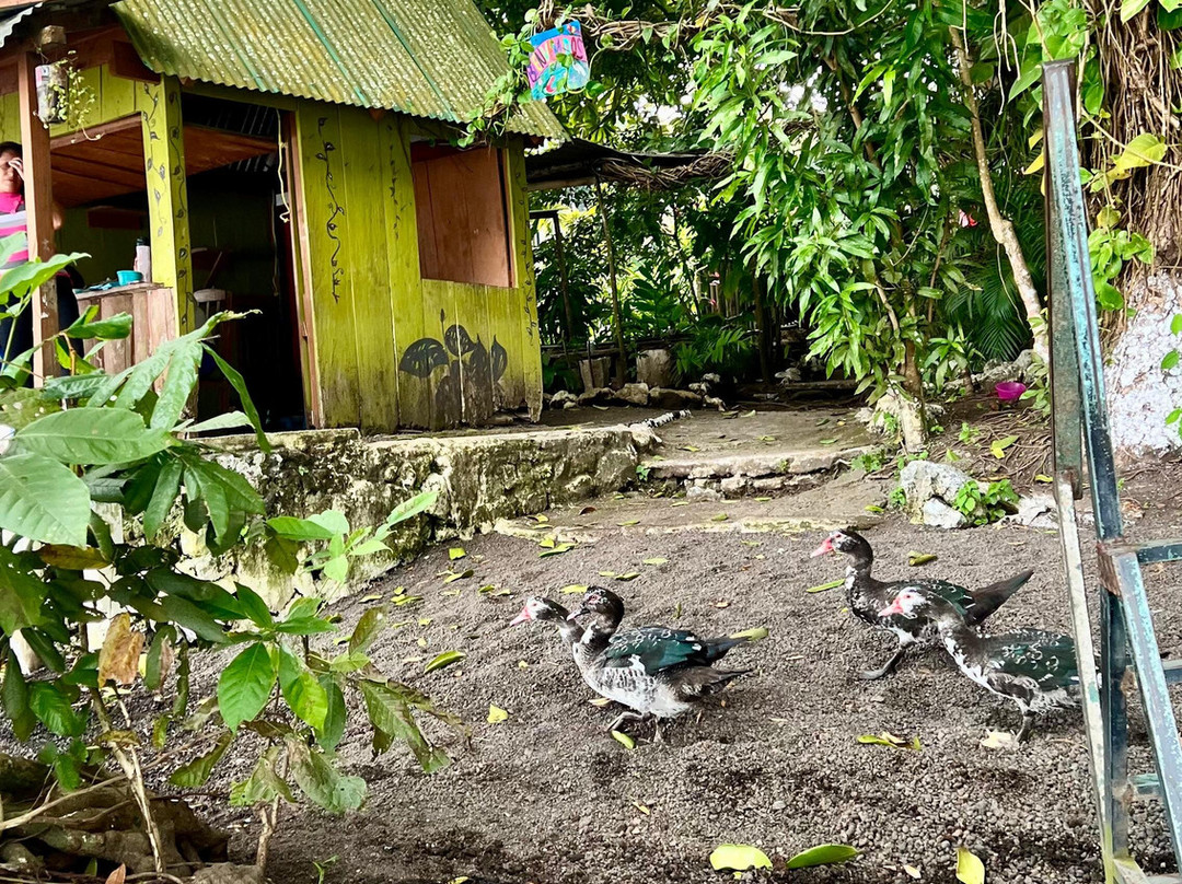 Catemaco Lake-Catemaco必去景点