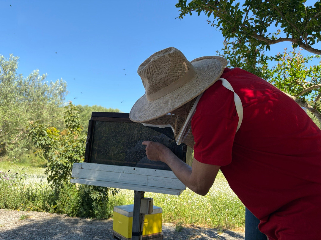 Dias Beekeeping-Svoronata必去景点