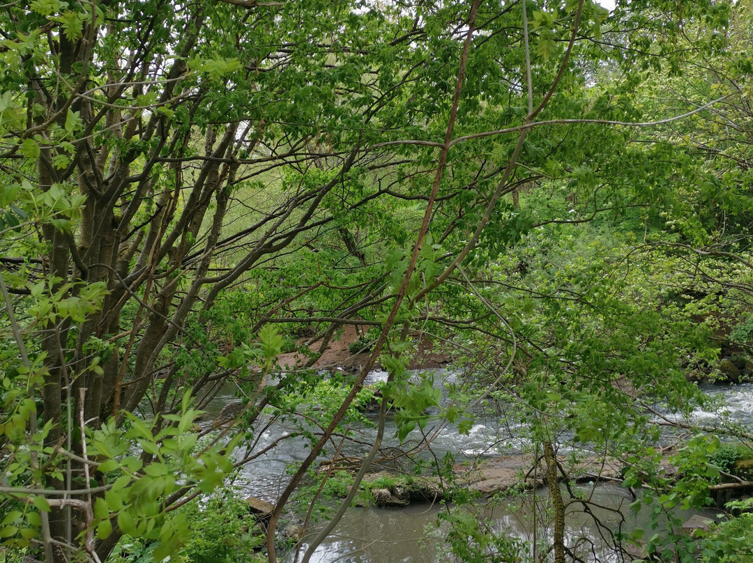 Kelvingrove Park-格拉斯哥必去景点