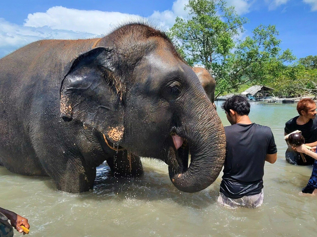 Koh Yao Elephant Beach-阁耀亚伊岛必去景点