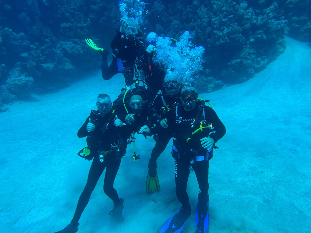 Red Sea Diving College-沙姆沙伊赫必去景点