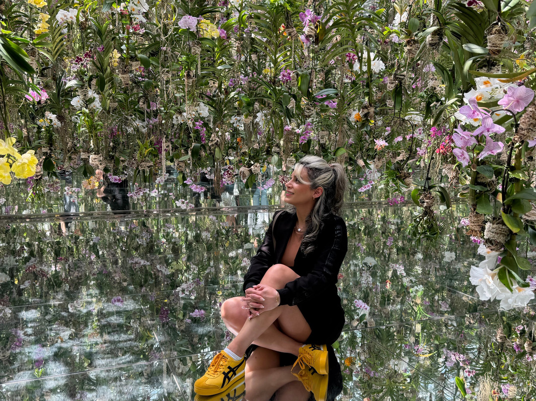 teamLab Planets TOKYO-Toyosu必去景点