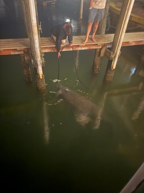 海湾棕榈海滨度假酒店及码头-旅行者