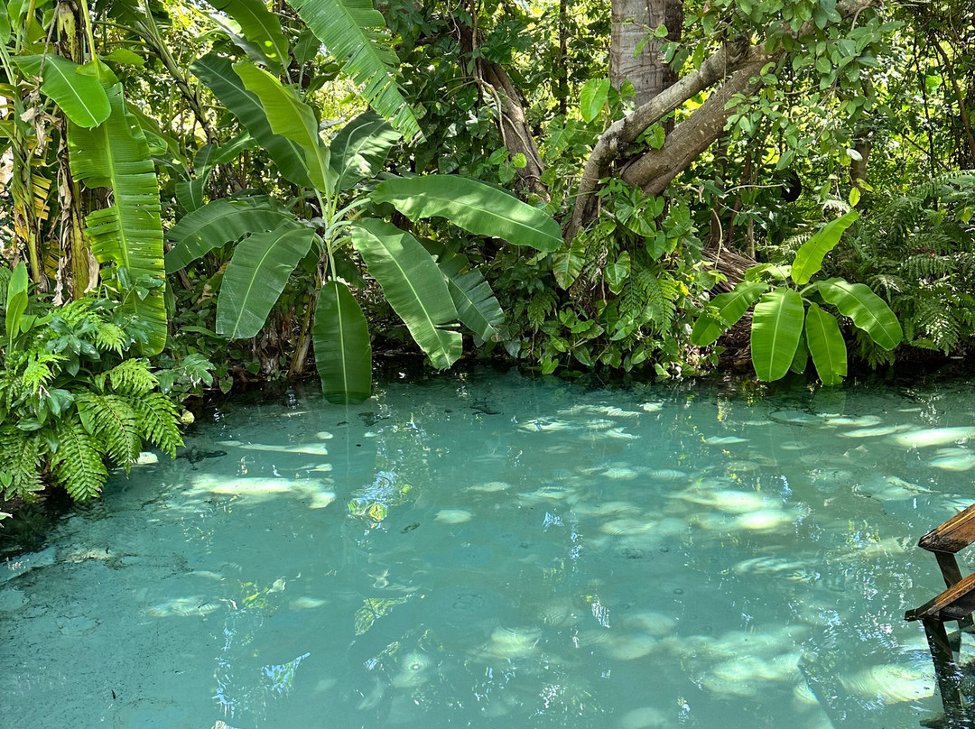 Jalapão Savana Ecotour-Palmas必去景点